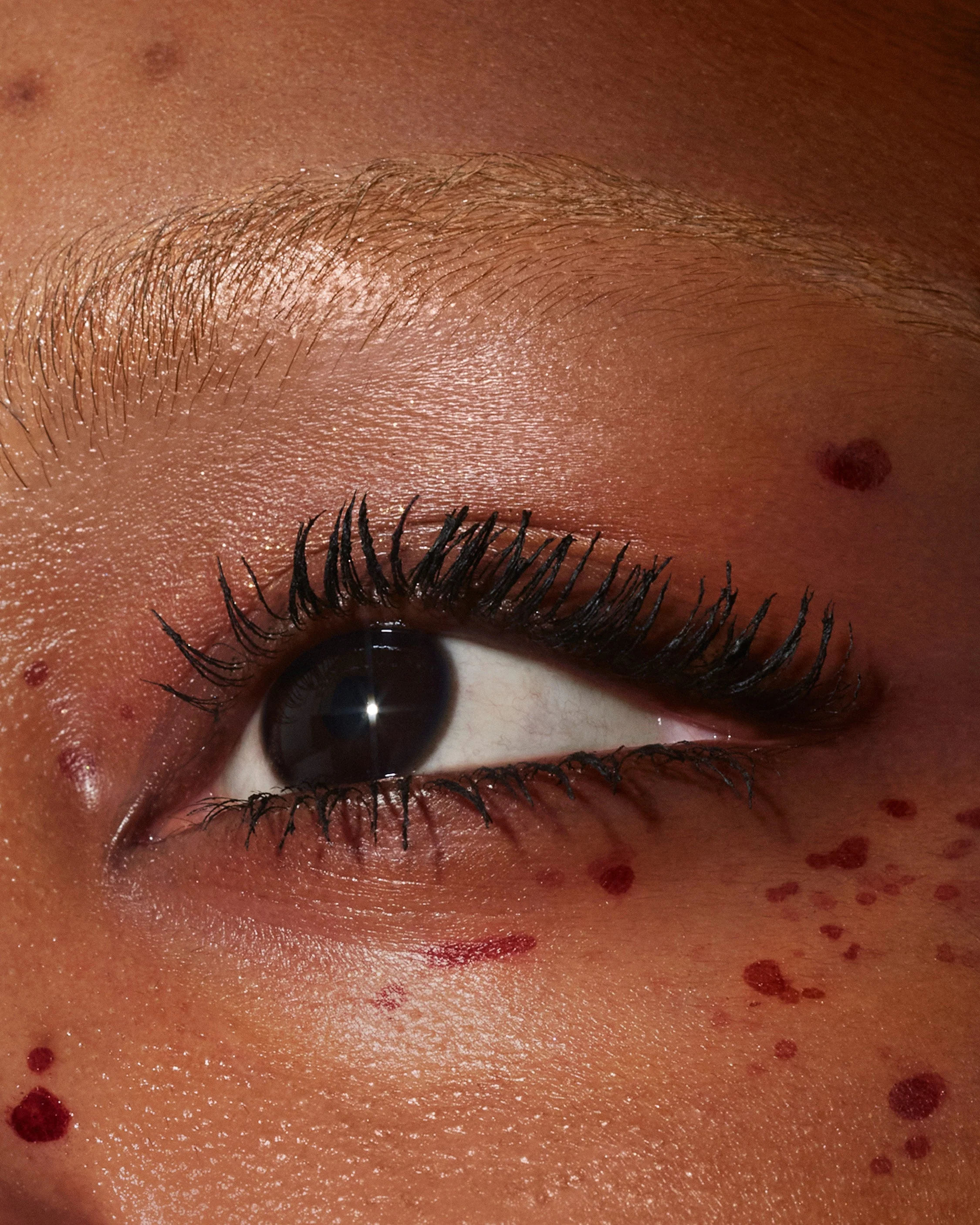 Lash Lasso - Image 4
