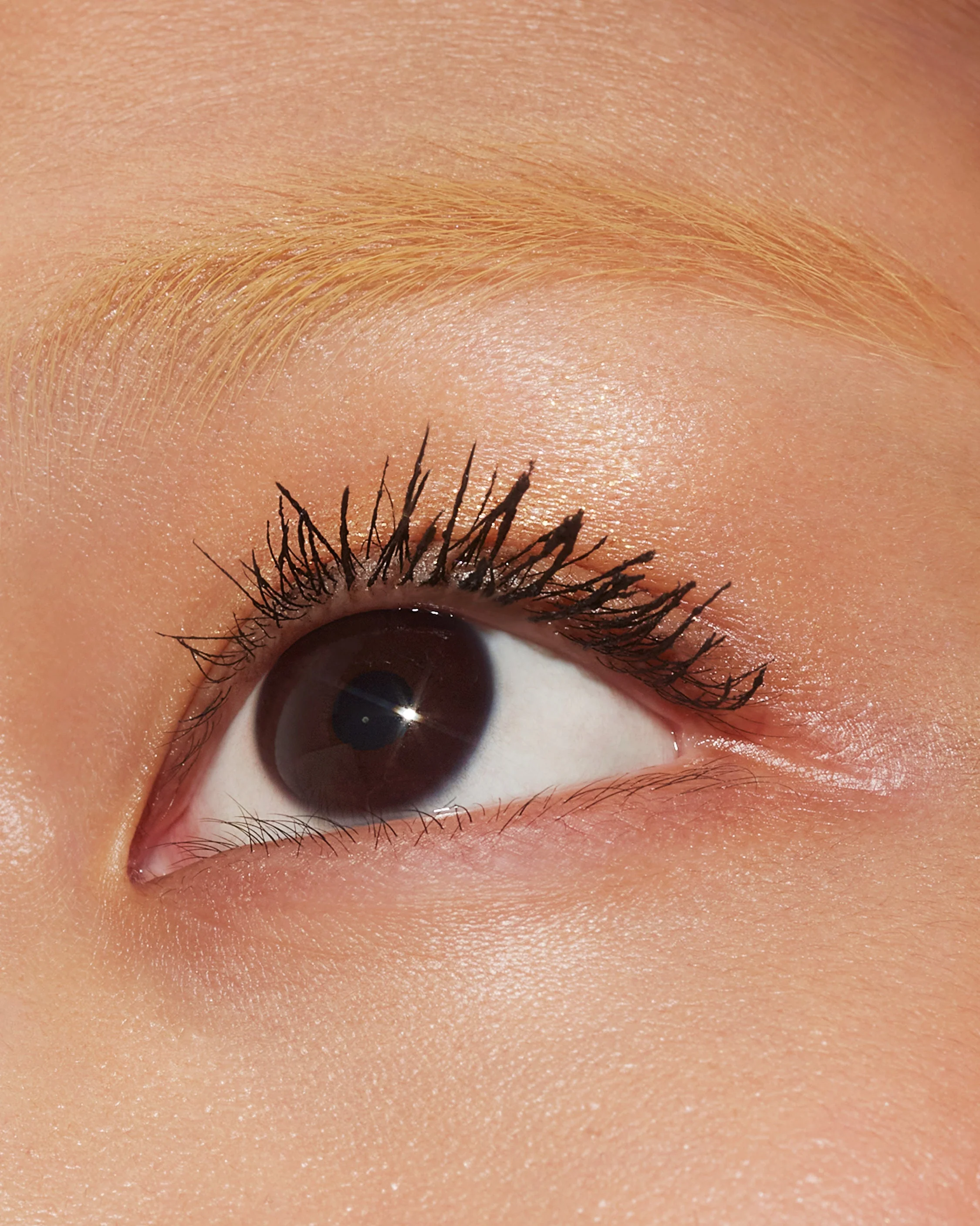 Lash Lasso - Image 5
