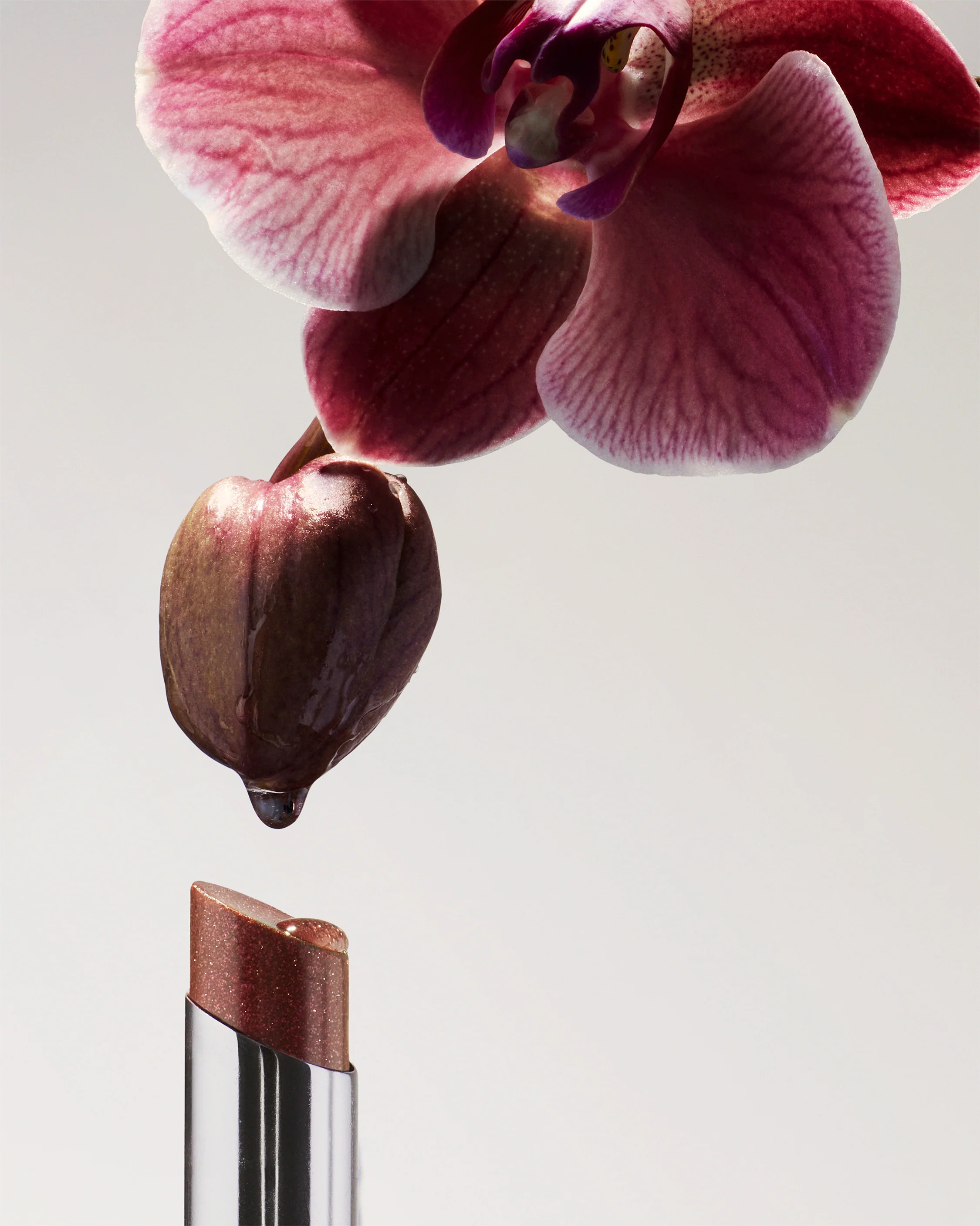 LIPS - Image 7